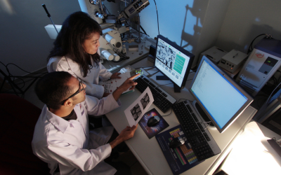 How does the ERC evaluate your proposal?