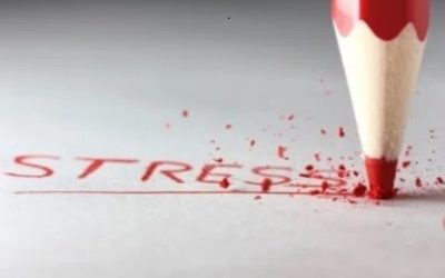 How to structure your ideas in a scientific article